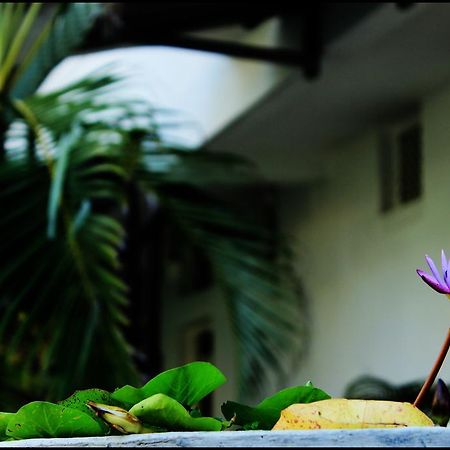 Mount Villa Dehiwala-Mount Lavinia Dış mekan fotoğraf